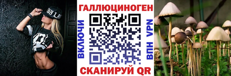 Галлюциногенные грибы мицелий  Каменск-Уральский 